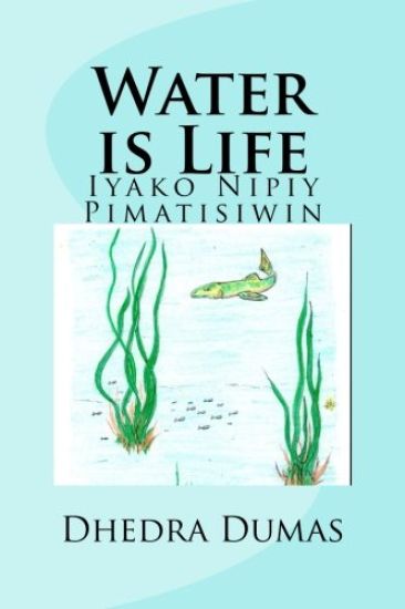 Water Is Life: Iyako Nipiy Pimatisiwin