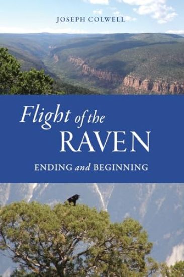 Flight of the Raven