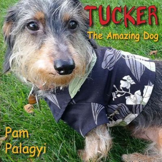 Tucker: The Amazing Dog