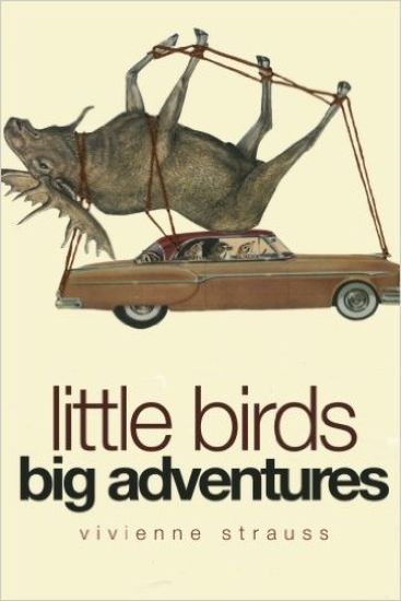 Little Birds Big Adventures: The Bird Collage Art of Vivienne Strauss