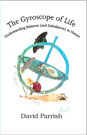 The Gyroscope of Life: Understanding Balances (and Imbalances) in Nature