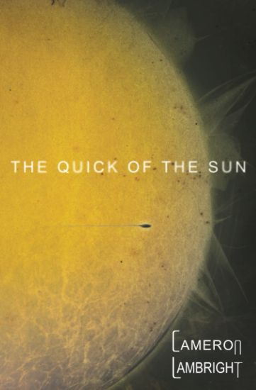 The Quick of the Sun