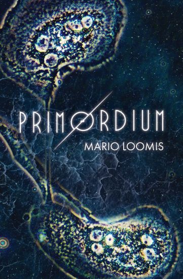 Primordium