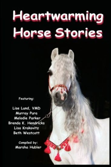 Heartwarming Horse Stories