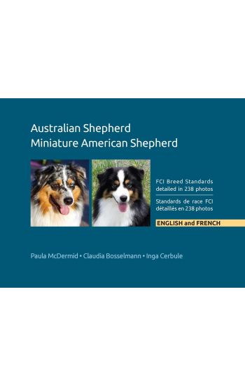 Australian Shepherd, Miniature American Shepherd