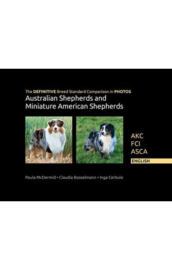 The DEFINITIVE Breed Standard Comparison in PHOTOS for Australian Shepherds and Miniature American Shepherds