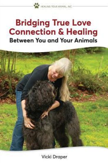 Bridging True Love Connection & Healing Between You and Your Animals