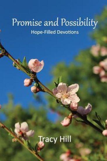 Promise and Possibility