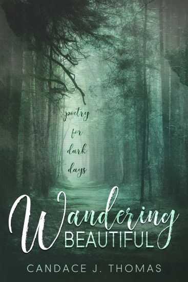 Wandering Beautiful