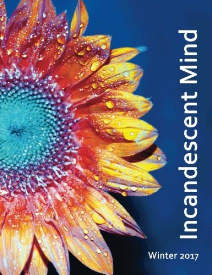Incandescent Mind: Winter 2017