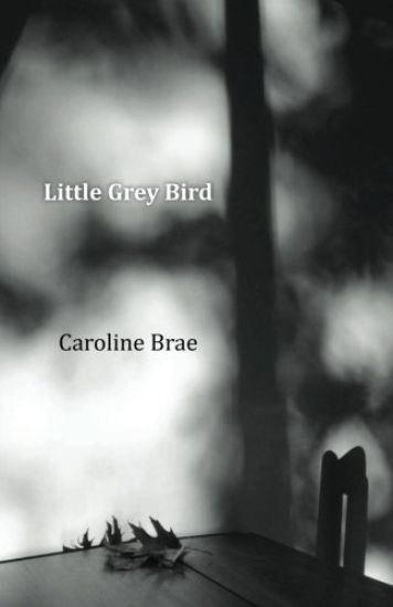 Little Grey Bird