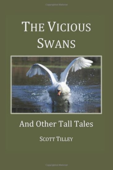 The Vicious Swans: And Other Tall Tales