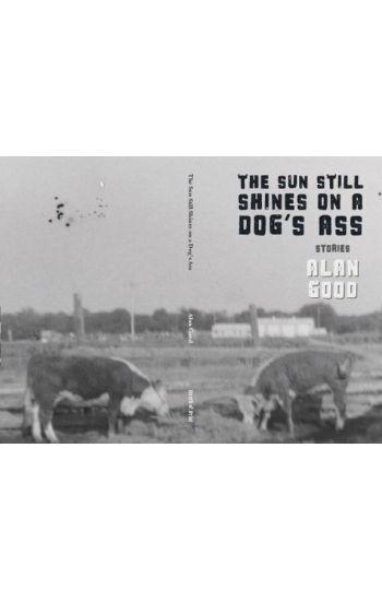 The Sun Still Shines on a Dog's Ass