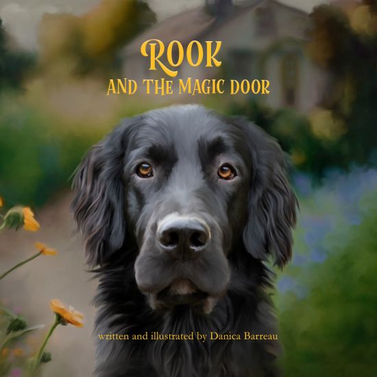 Rook and the Magic Door