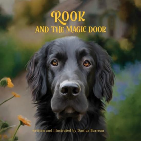 Rook and the Magic Door