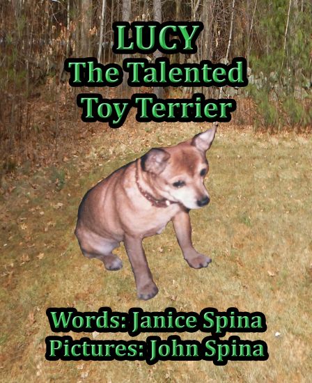 Lucy the Talented Toy Terrier