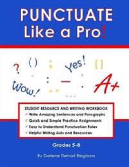 PUNCTUATE Like a Pro!