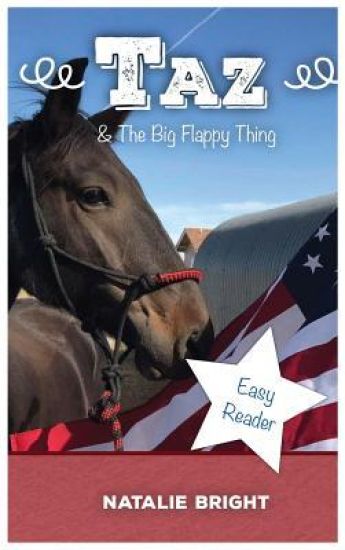 Taz & the Big Flappy Thing