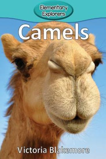 Camels