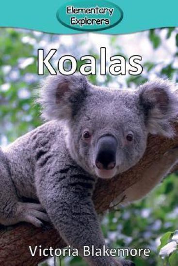Koalas
