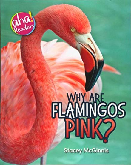Why Are Flamingos Pink?