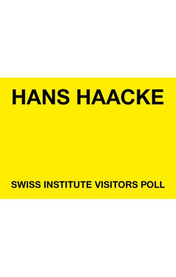 Hans Haacke: Swiss Institute Visitors Poll