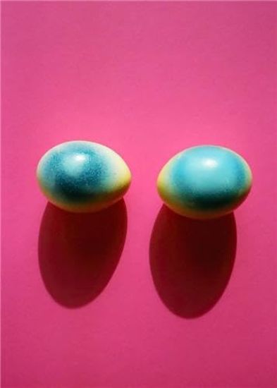 Walter Pfeiffer: Vis-à-vis