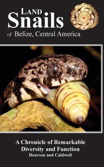 Land Snails of Belize, Central America