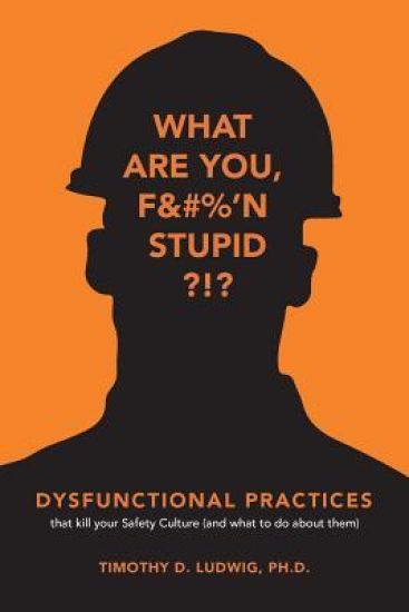 Dysfunctional Practices: that kill your Safety Culture (and what to do about them)