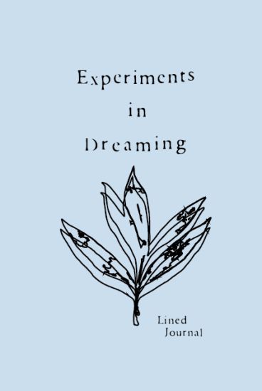 Experiments in Dreaming