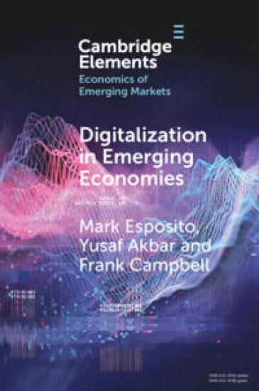 Digitalization in Emerging Economies