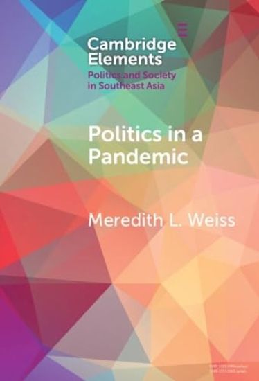 Politics in a Pandemic