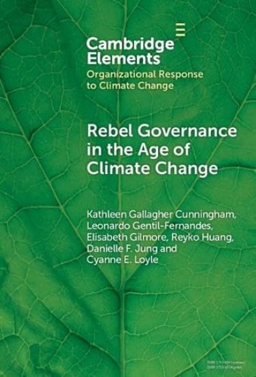 Rebel Governance in the Age of Climate Change