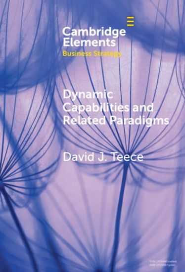 Dynamic Capabilities and Related Paradigms