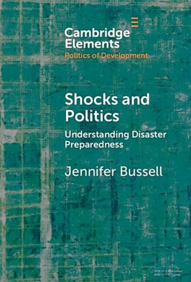 Shocks and Politics