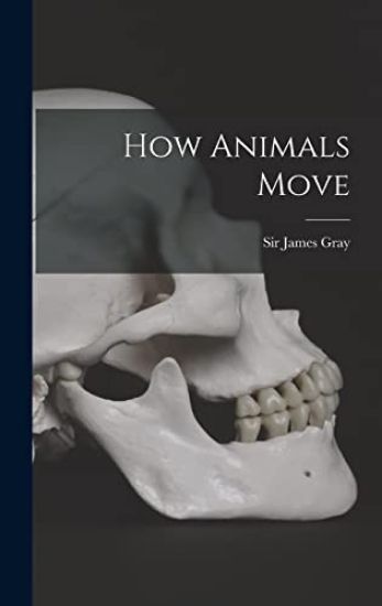 How Animals Move