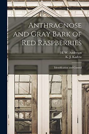 Anthracnose and Gray Bark of Red Raspberries: Identification and Control