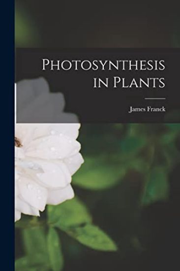 Photosynthesis in Plants