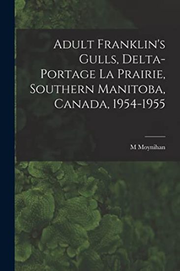 Adult Franklin's Gulls, Delta-Portage La Prairie, Southern Manitoba, Canada, 1954-1955