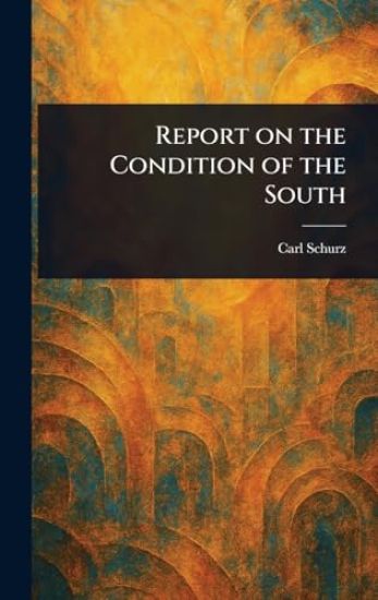 Report on the Condition of the South
