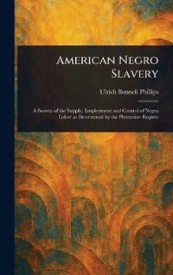 American Negro Slavery