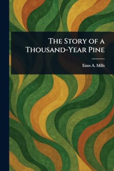 The Story of a Thousand-Year Pine