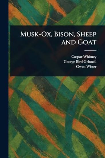 Musk-Ox, Bison, Sheep and Goat