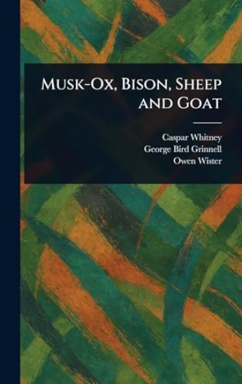 Musk-Ox, Bison, Sheep and Goat
