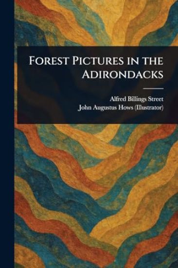 Forest Pictures in the Adirondacks