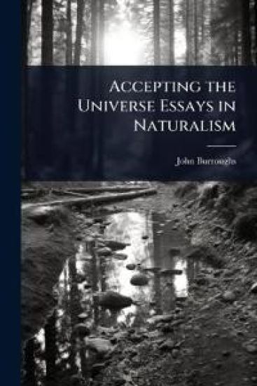 Accepting the Universe Essays in Naturalism