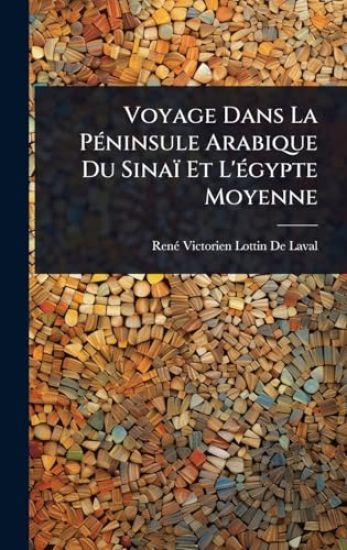 Voyage Dans La PÃ(c)ninsule Arabique Du Sinaï Et L'Ã(c)gypte Moyenne