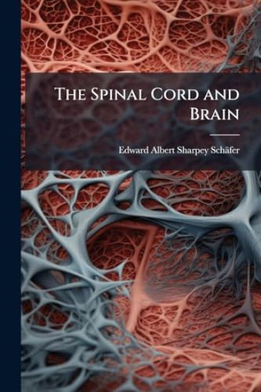 The Spinal Cord and Brain