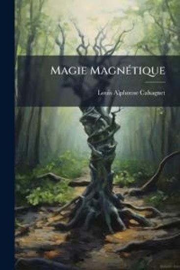 Magie MagnÃ(c)tique