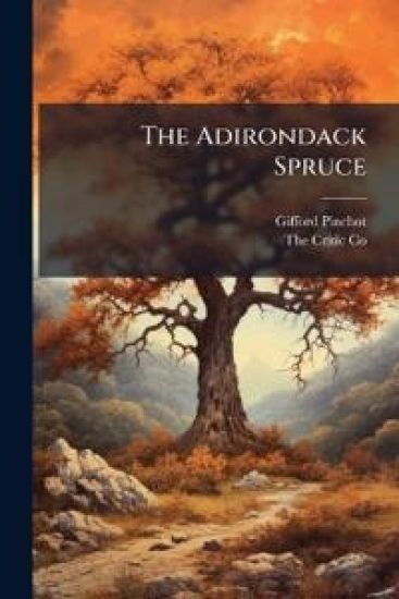 The Adirondack Spruce
